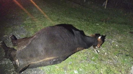 Oğuzda yol qəzası baş verib, ata və qızı xəsarət alıb
