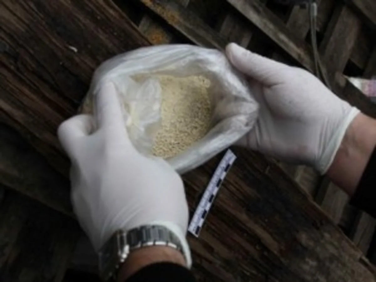 ​В России азербайджанца приговорили к 9,5 годам тюрьмы за контрабанду кокаина