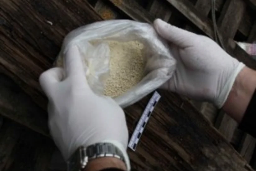 ​Rusiyada azərbaycanlı kokain qaçaqmalçılığına görə 9,5 il müddətinə həbs olunub