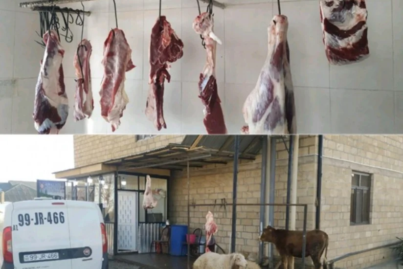 Şəmkirdə qanunsuz heyvan kəsimi məntəqələri aşkarlanıb