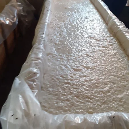 Ağcabədidə iki sexin fəaliyyəti dayandırıldı