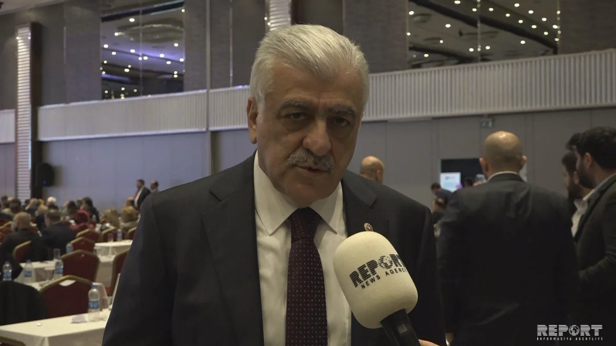 Şamil Ayrım: Azərbaycan və Türkiyə tarixinin ən gözəl dövrünü yaşayır - VİDEO