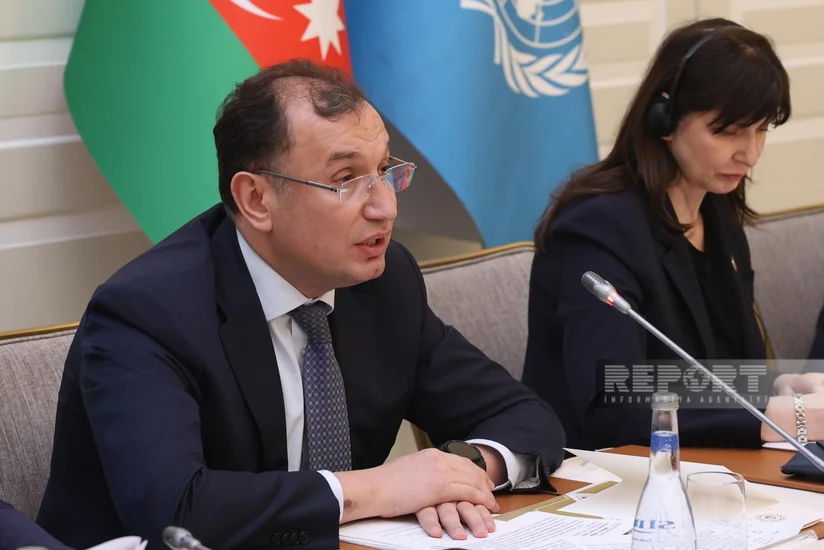 Nazir müavini: “Qarabağda mina təhlükəsi iqtisadi dirçəliş prosesini ləngidir”