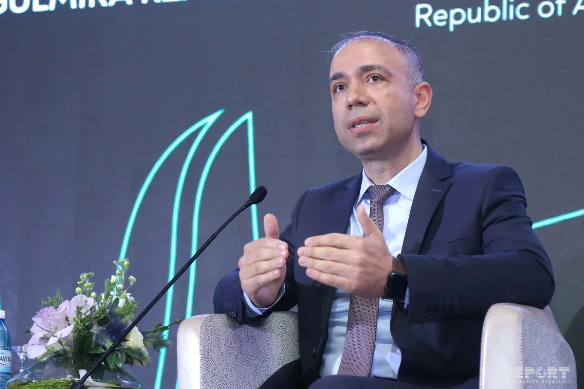 Nazir müavini: Azərbaycan tullantıların azaldılması ilə bağlı öhdəlikləri yerinə yetirmək əzmindədir