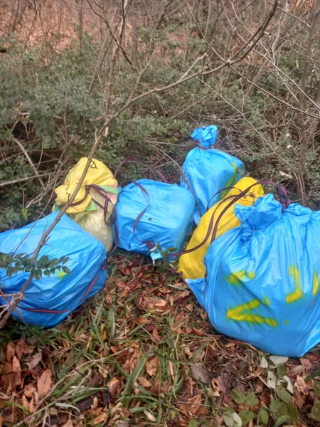 Iranian drug traffickers open fire on Azerbaijani border guards