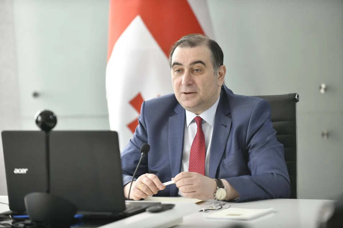 Gürcüstanda yeni nazirlik yaradıla bilər 