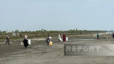 Lənkəranda sahilboyu ərazilərdə ekoloji aksiya keçirilib