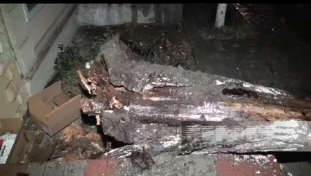 Сильный ветер и ливень вызвали ряд последствий в Гёйчае