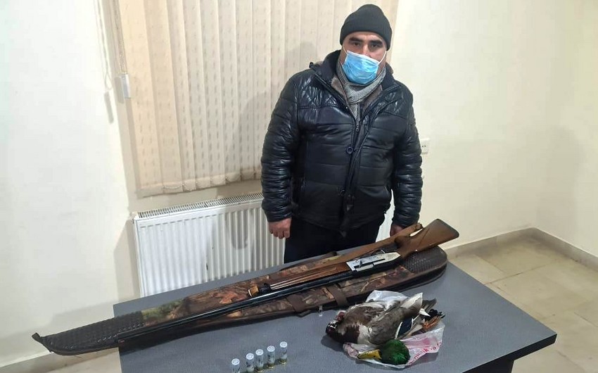 Siyəzəndə qanunsuz ov edən şəxs saxlanılıb