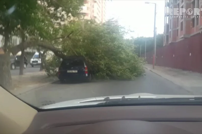Сильный ветер в Баку вызвал ряд негативных последствий - ВИДЕО