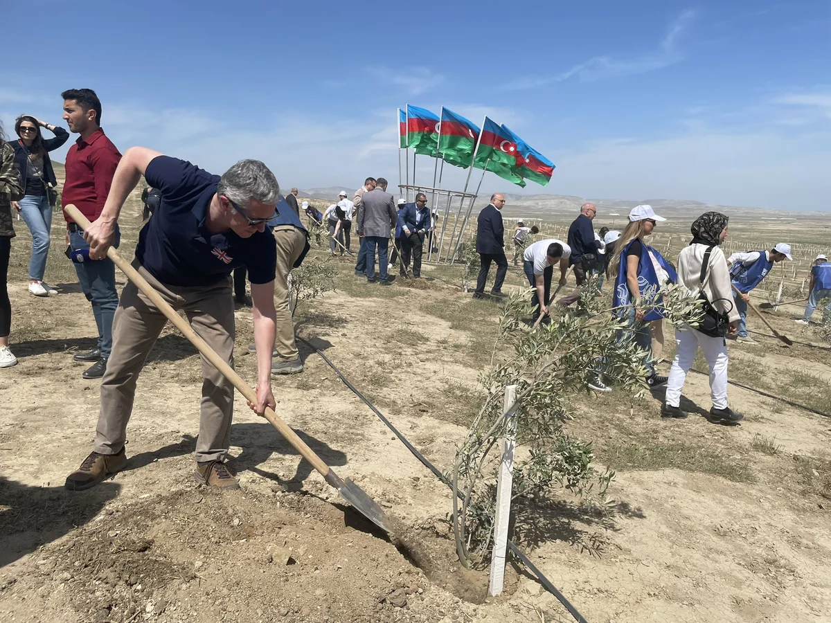 UK envoy attends tree planting ceremony in honor of 100th anniversary of Heydar Aliyev
