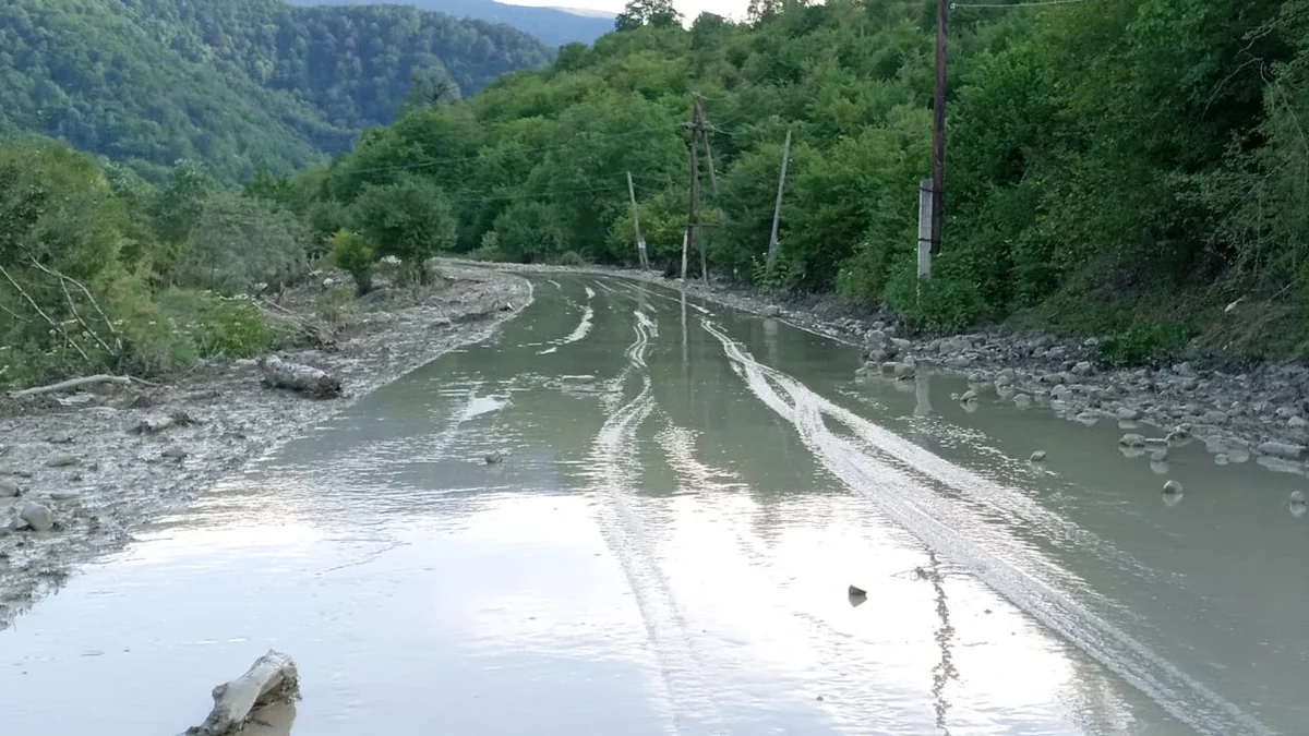 Qubada iribuynuzlu heyvanları sel aparıb - YENİLƏNİB