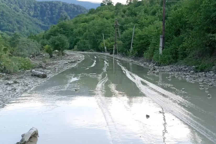 В Губе сель унес крупный рогатый скот