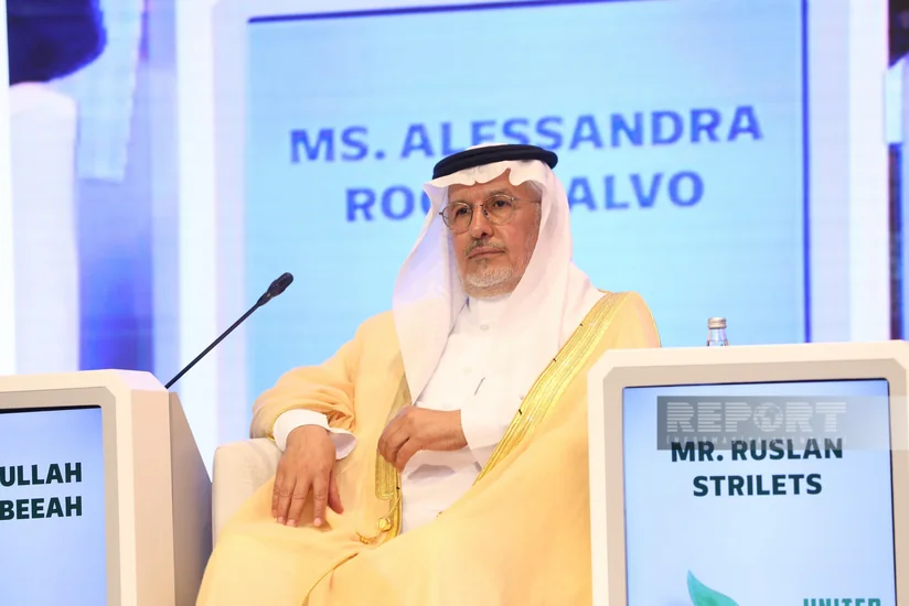 Al Rabeeah calls for exchange of expertise to tackle landmine crisis