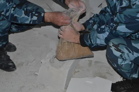 Azərbaycan ərazisi ilə İrandan Gürcüstana aparılan 306 kiloqramdan artıq heroin müsadirə edilib