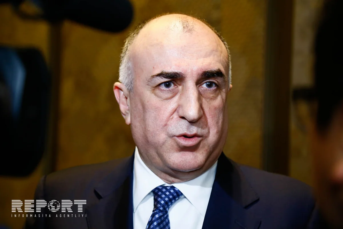 Elmar Məmmədyarov: İraqdakı azərbaycanlı qadınların və uşaqların qaytarılması ilə bağlı iş aparılır