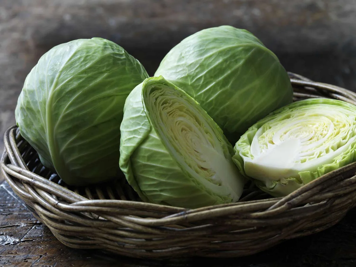 Azerbaijan accounts for 53% of cabbage imported to Stavropol