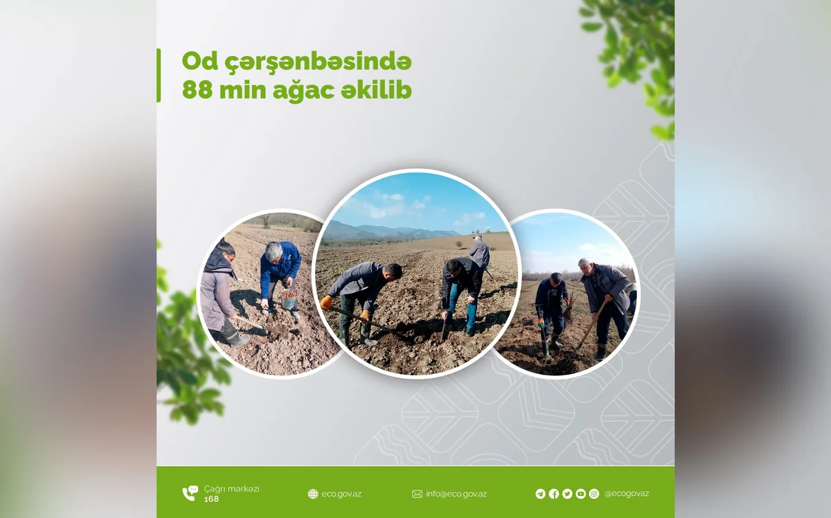 Od çərşənbəsində 88 min ağac əkilib 