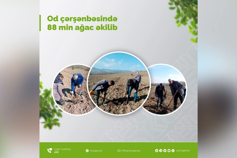 Od çərşənbəsində 88 min ağac əkilib 