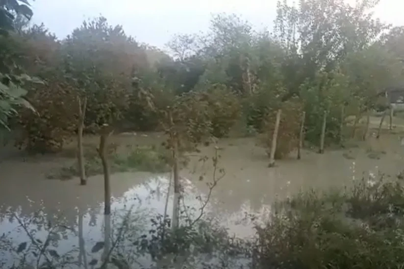 FHN: Sel və daşqınların baş verdiyi ərazilərdə zəruri tədbirlər davam etdirilir