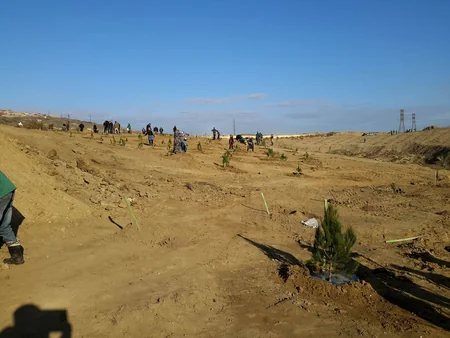Ekologiya və Təbii Sərvətlər Nazirliyi iməcilik keçirib - FOTO