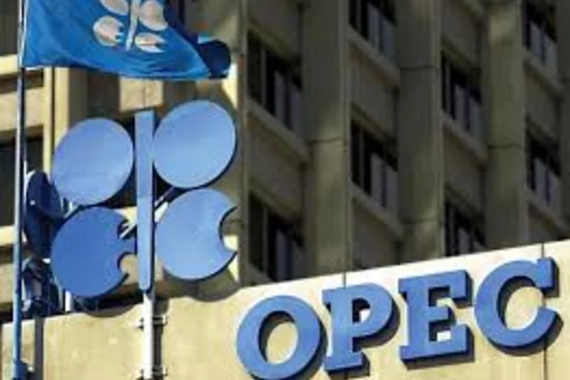 OPEC xərclərini azaltmalıdır