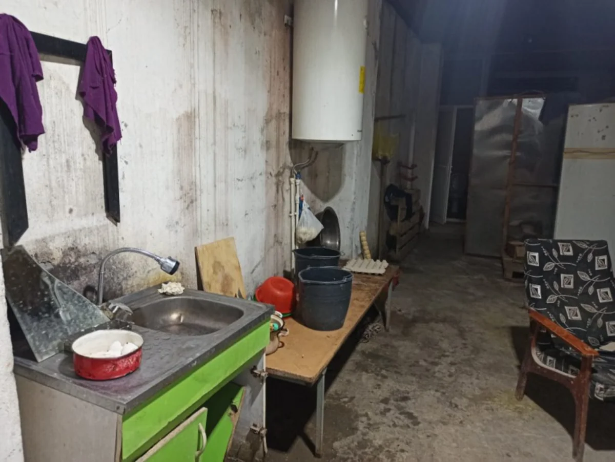 Yevlaxda çörək sexində nöqsanlar aşkarlanıb