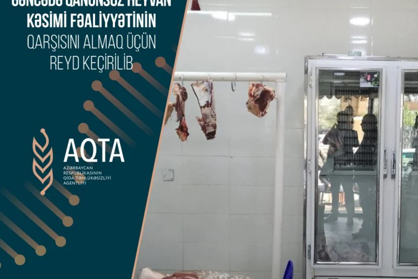 Gəncədə qanunsuz heyvan kəsiminin həyata keçirildiyi məntəqələr aşkarlanıb