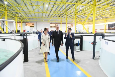 Prezident “NərəMİZ” balıqyetişdirmə zavodunun istehsalat prosesi ilə tanış olub - YENİLƏNİB