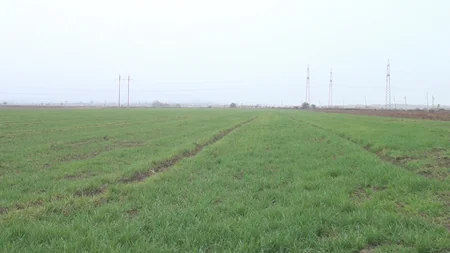 Azərbaycanda işğal dövründə yararsız hala düşmüş suvarma kanalı yenidən istifadəyə verilib