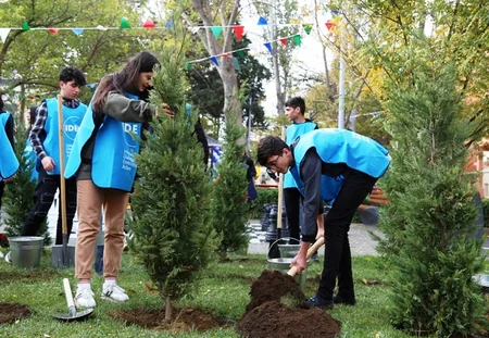 Bakıda daha bir həyət yenilənib
