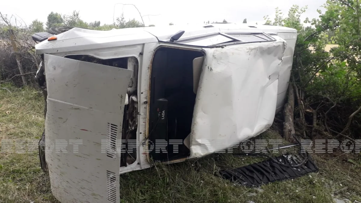 Qəbələdə avtomobillər qoyun sürüsünü vurub, heyvanlar tələf olub - YENİLƏNİB