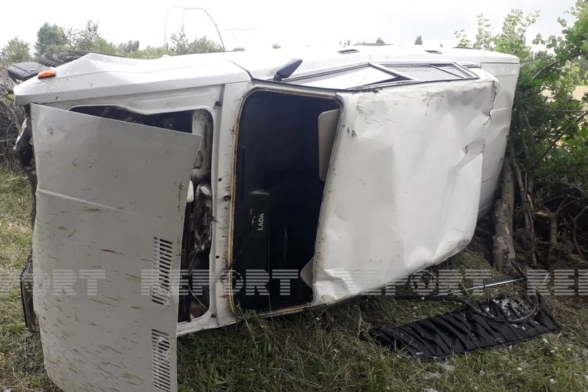 Qəbələdə avtomobillər qoyun sürüsünü vurub, heyvanlar tələf olub - YENİLƏNİB