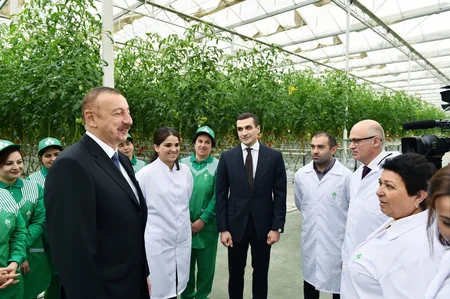 Prezident İlham Əliyev Zirə qəsəbəsində “BAKU AGROPARK”da görülən işlərlə tanış olub