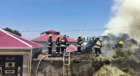 Şərurda həyətyanı sahədə yanğın olub