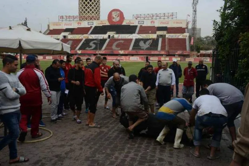 Misirin futbol klubu uğur qazanmaq üçün qurban kəsib