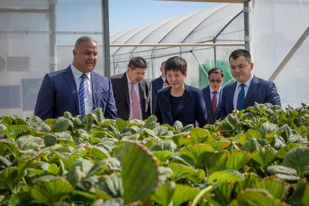 Çinin nəhəng dövlət şirkəti CAMCE “AS Aqro”nun “Abşeron Aqro Park”ını ziyarət edib