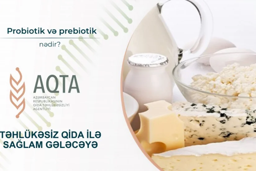 Probiotik və prebiotik nədir?