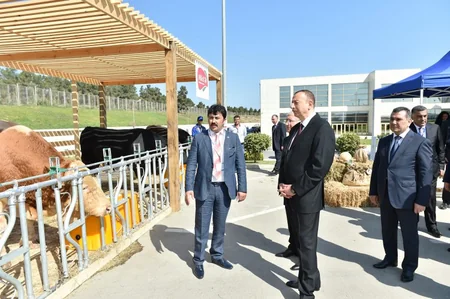 Prezident İlham Əliyev Beynəlxalq qida sənayesi və kənd təsərrüfatı sərgiləri ilə tanış olub
