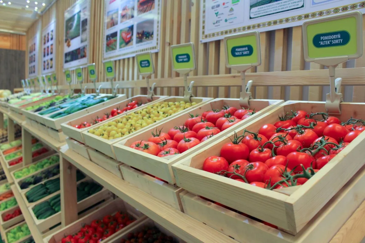 Export of products from Turkmenistan to Russia grows 93%