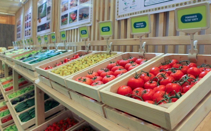 Export of products from Turkmenistan to Russia grows 93%