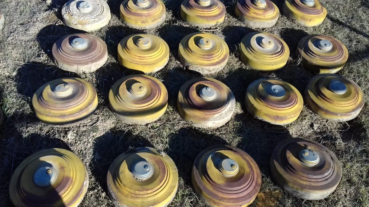 В прифронтовой зоне обнаружены сотни неразорвавшихся боеприпасов