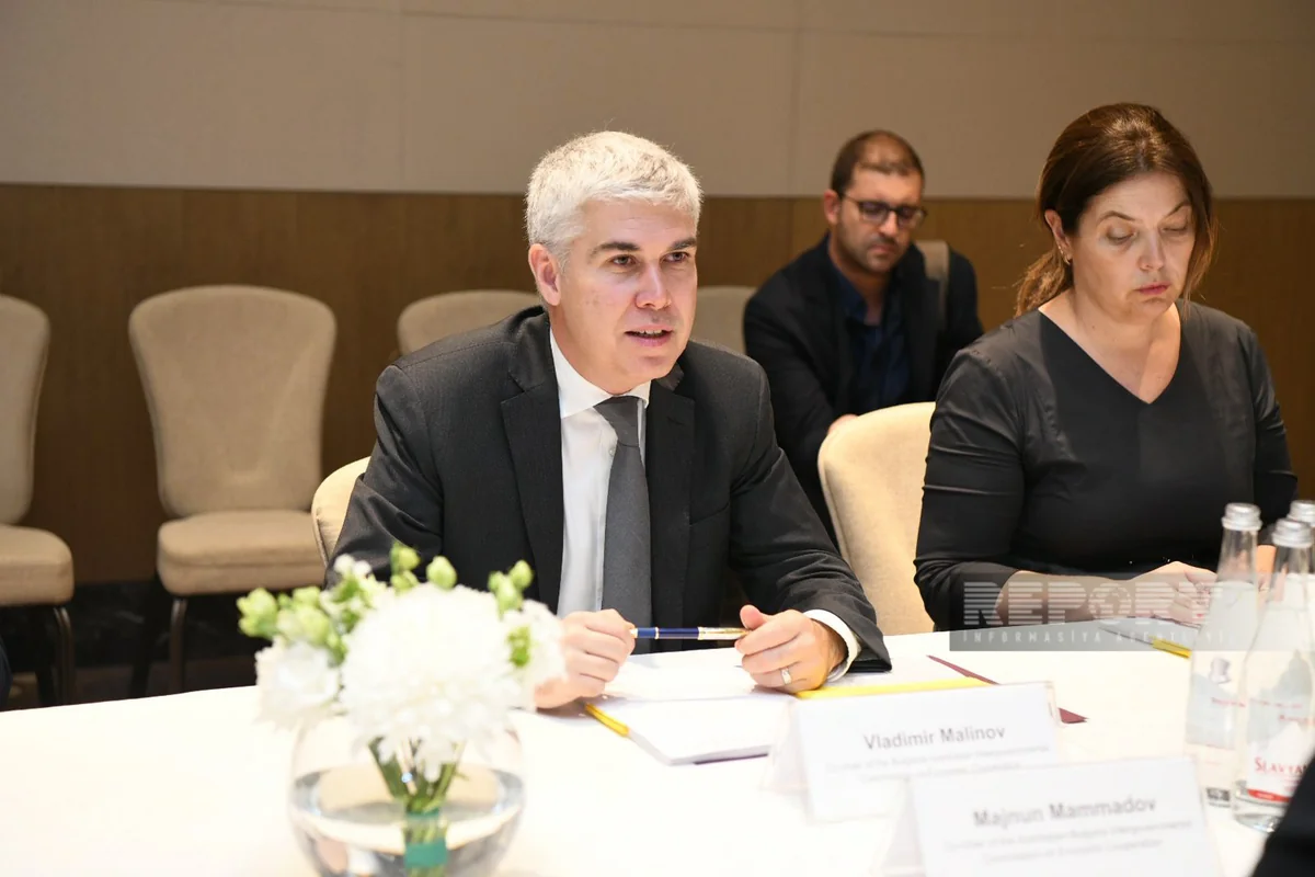 Nazir: Azərbaycan Bolqarıstanın enerji sahəsində strateji tərəfdaşıdır