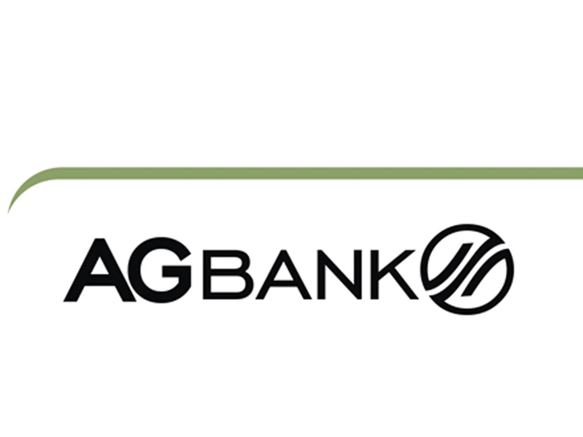 Non-performing loans of AGBank increased