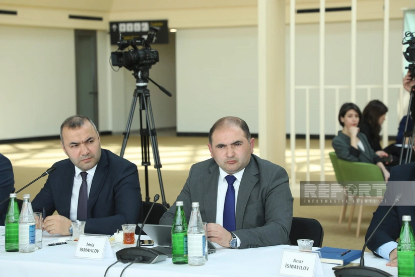 Qarabağda 69 min hektara yaxın ərazi minalardan təmizlənib