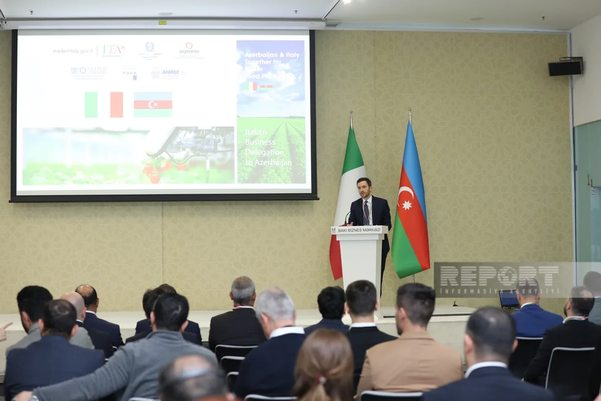 Ricardo Cursi: Italy expanding co-op with Azerbaijan in non-oil sector