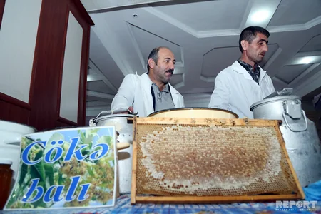Bakıda ənənəvi bal yarmarkası keçirilir