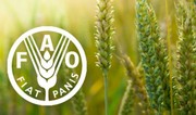 FAO: Regiondakı ölkələrin aqrar xərclərində ekoloji ödənişlərin payı azdır 
