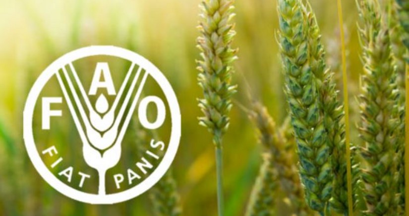 FAO: Regiondakı ölkələrin aqrar xərclərində ekoloji ödənişlərin payı azdır 