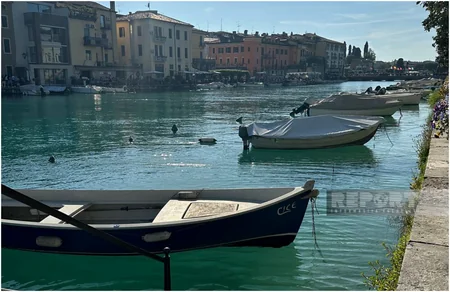 Lessons of Italian: wine rivers and olive banks...